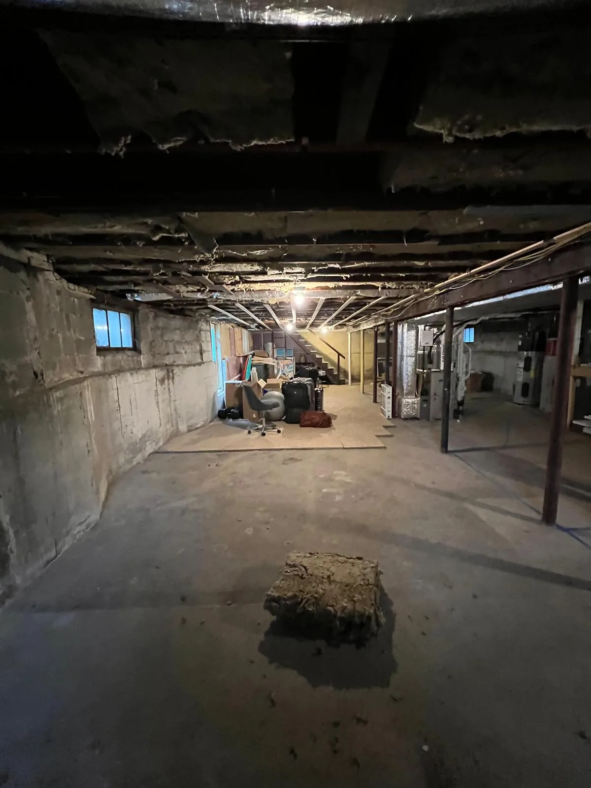 Before the Full Basement Remodel project